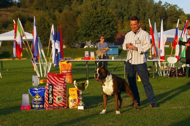 www.boxer-show.eu
